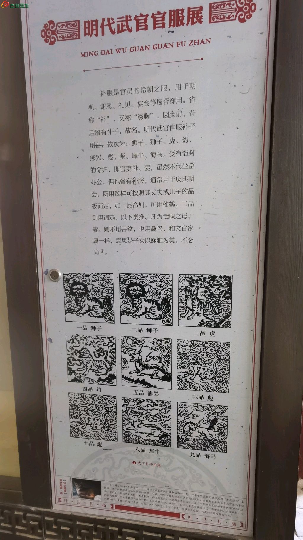 1770606230100.xfile.jpg