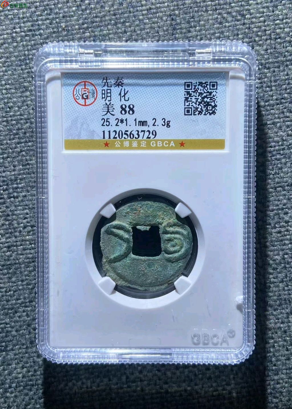 1770709506544.xfile.jpg