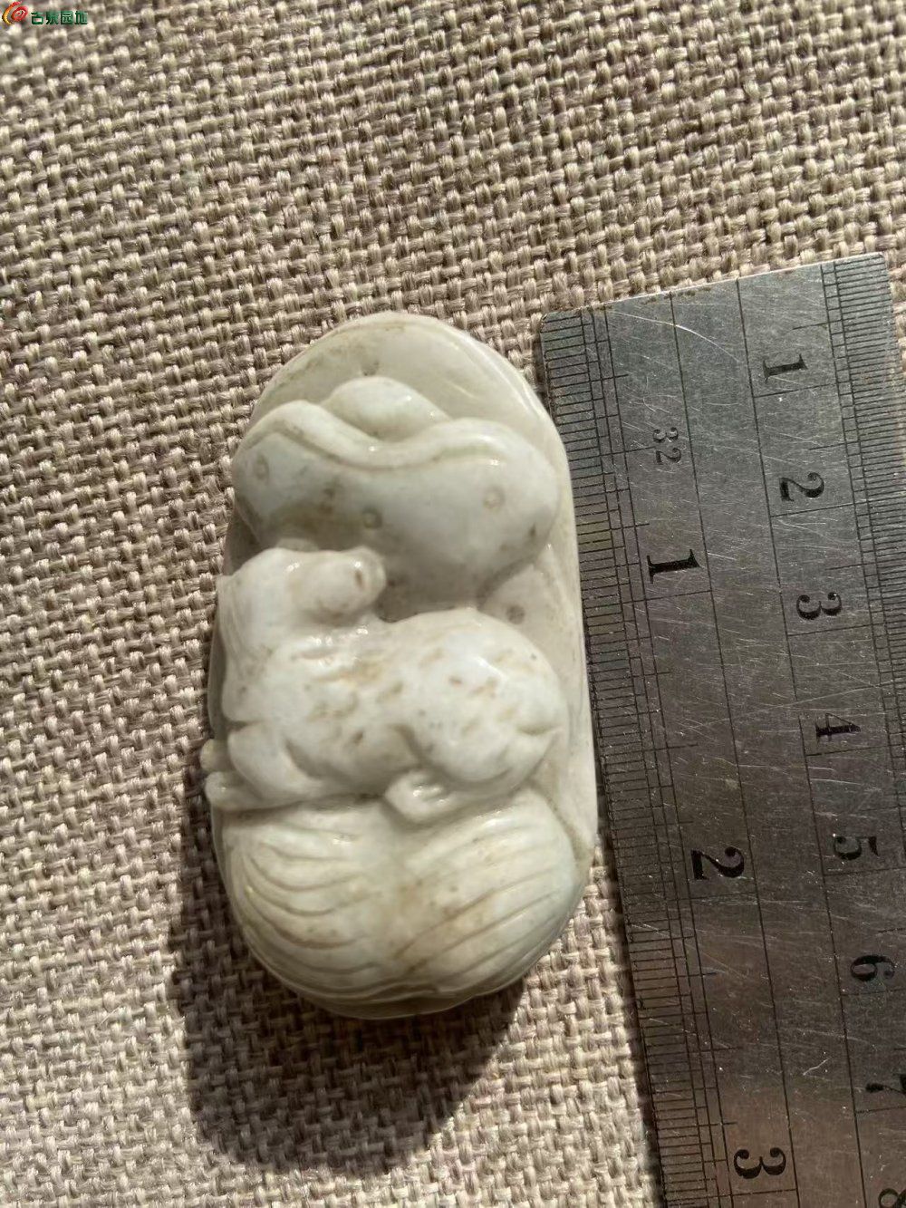微信图片_20260210143620_65_3.jpg