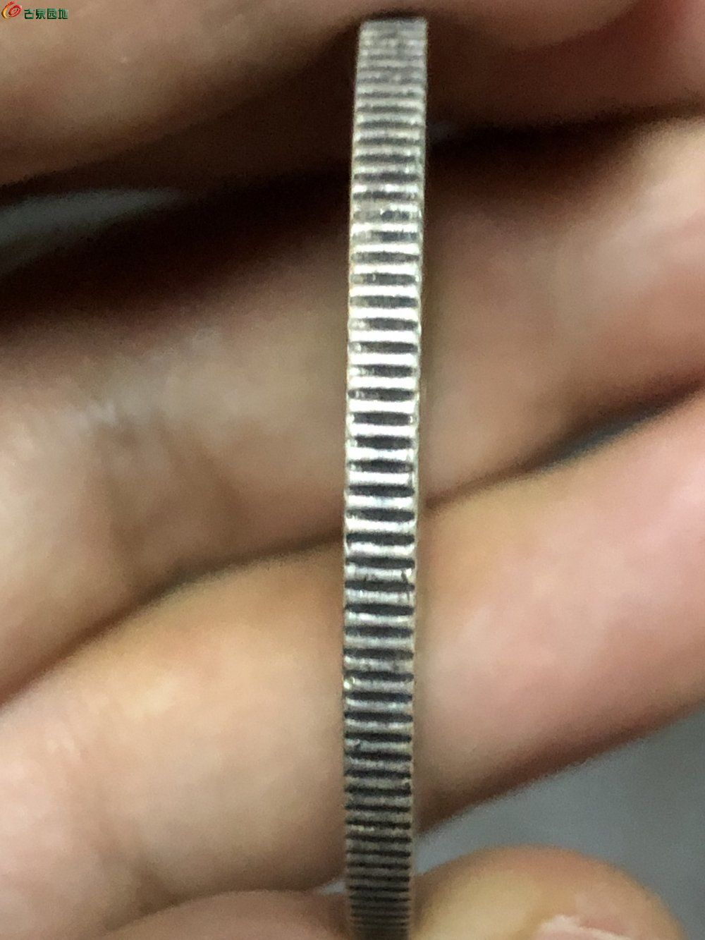 73572.jpg