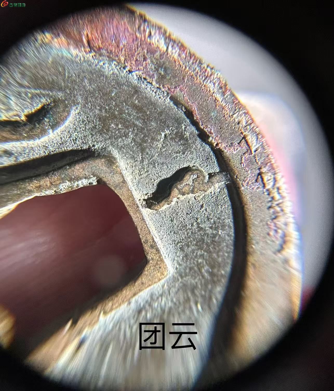 3C715FB0-BDD1-4EC9-BC0C-FF36D067D9B2.jpe