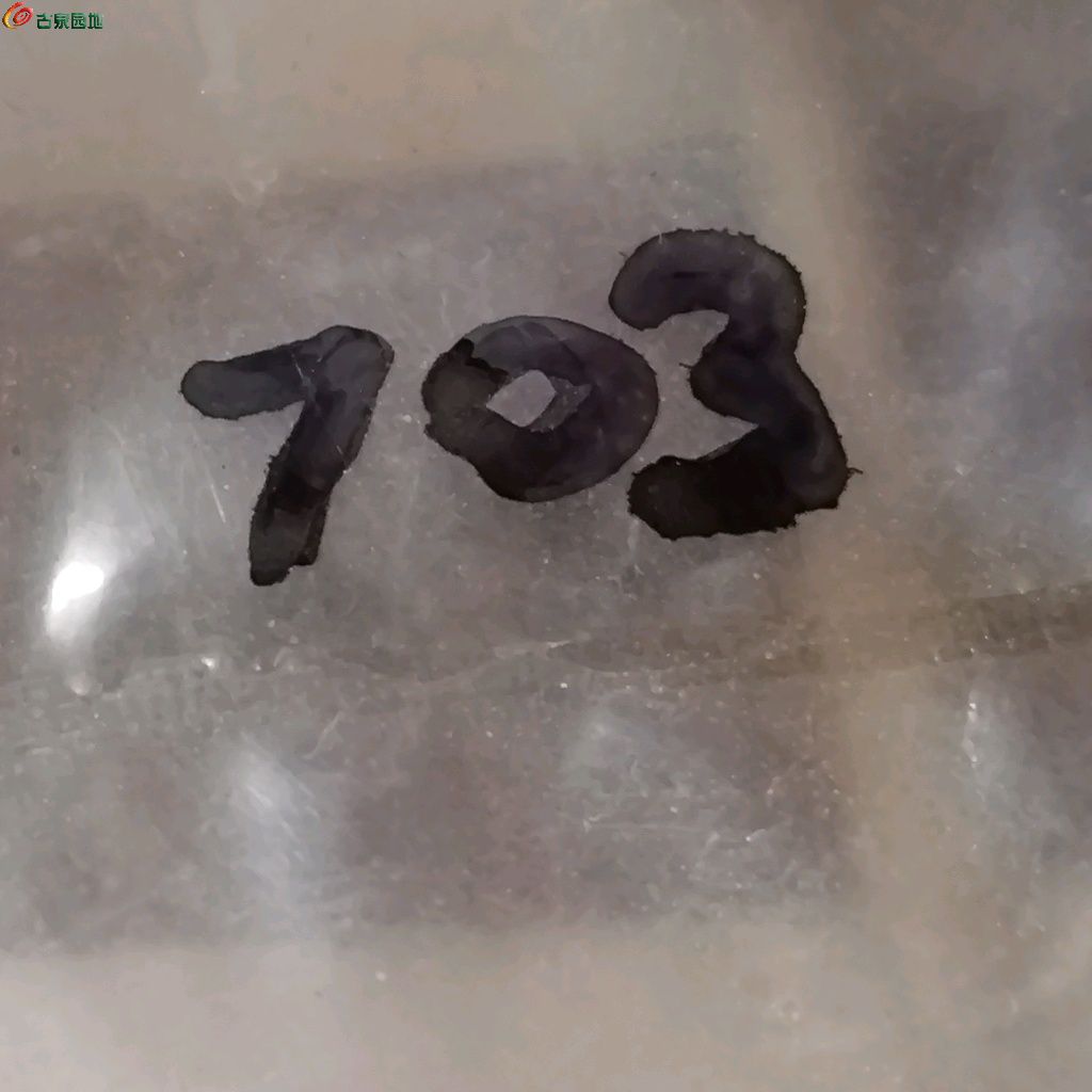 1771388352875.xfile.jpg
