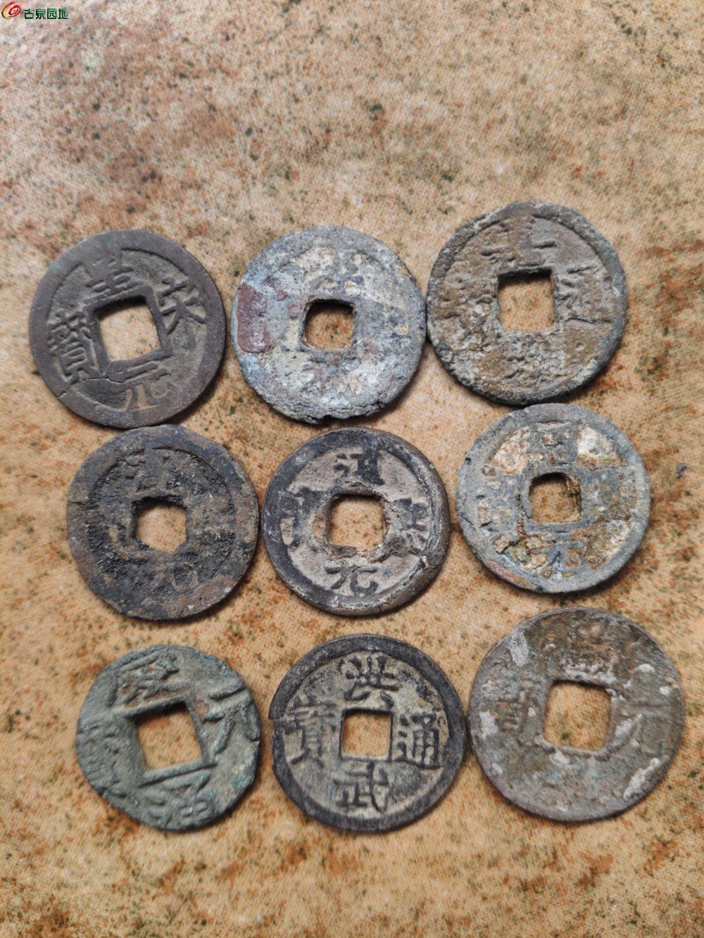 1771392041243.jpg