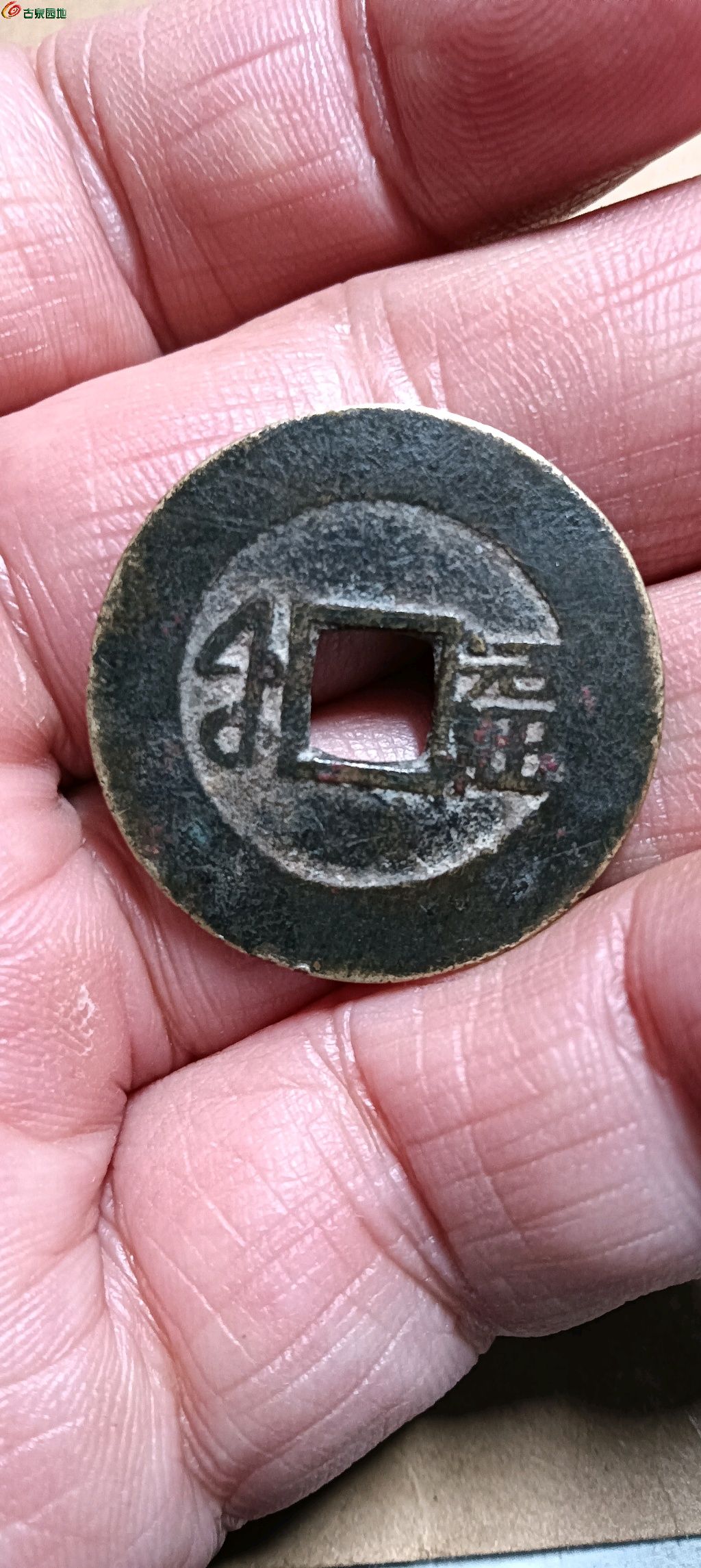 1772267486400.xfile.jpg
