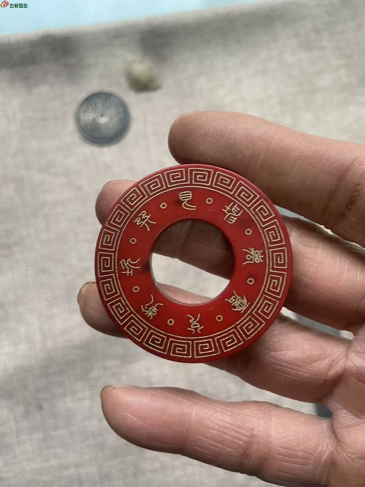 微信图片_20260301160001_1070_3.jpg