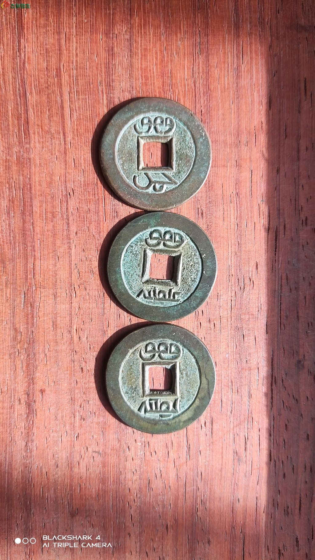 1768020544806.xfile.jpg