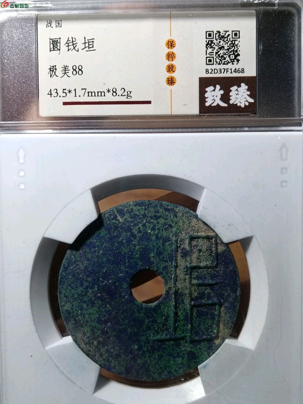 1768103539038.xfile.jpg