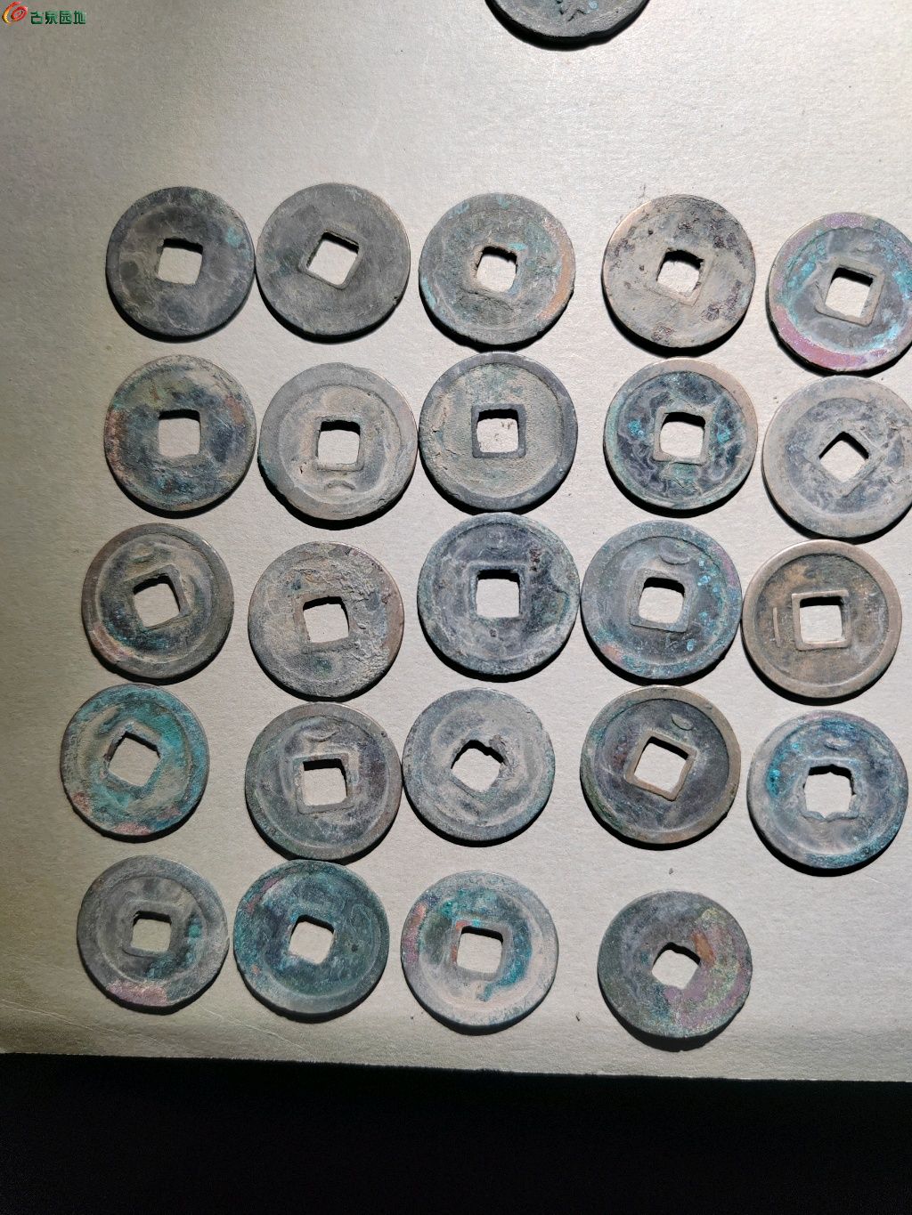 1768131994306.xfile.jpg