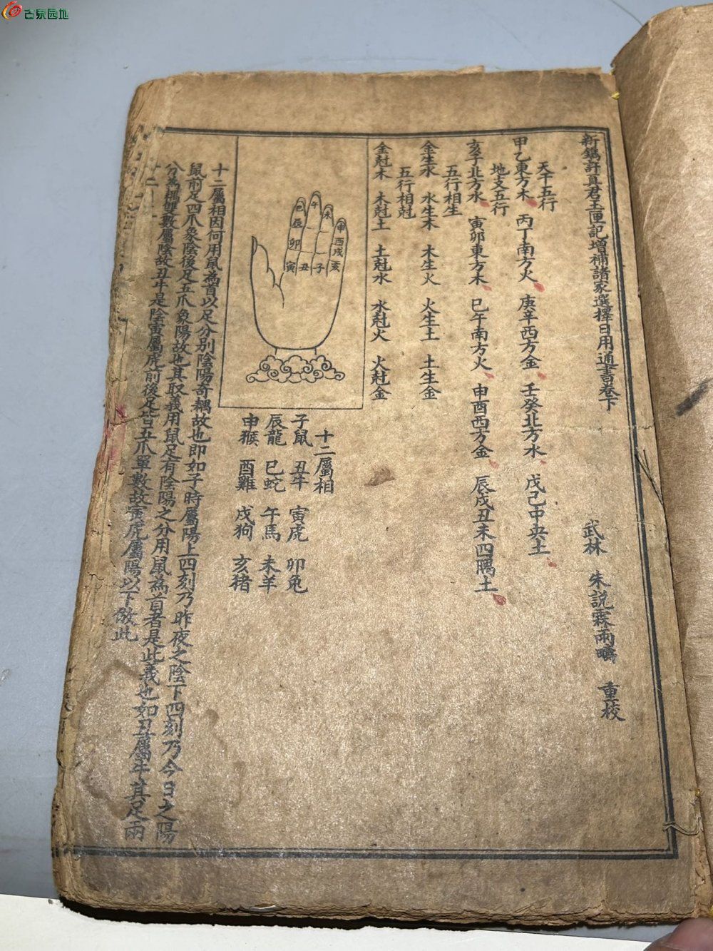 97763.jpg