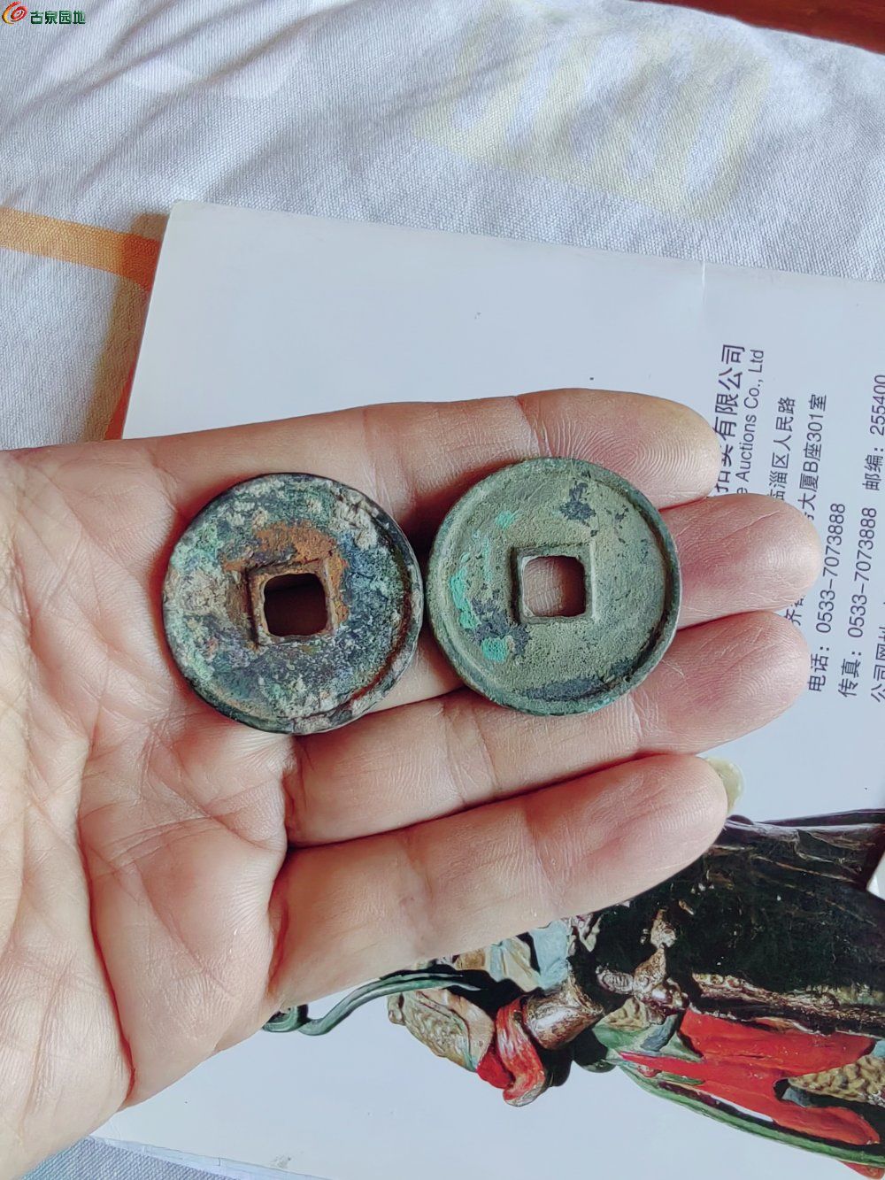 IMG_20260112_100143_edit_643894311950413