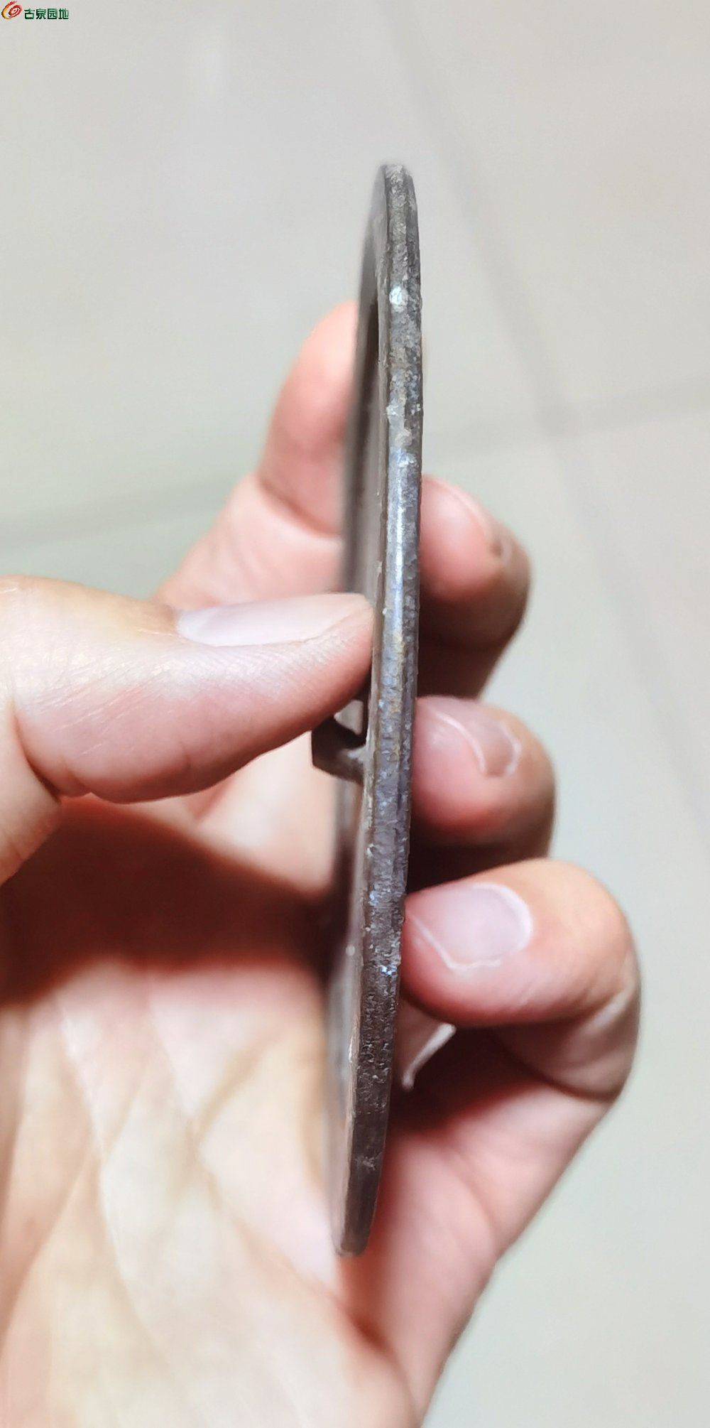 IMG_20260110_161111_edit_108559620410517