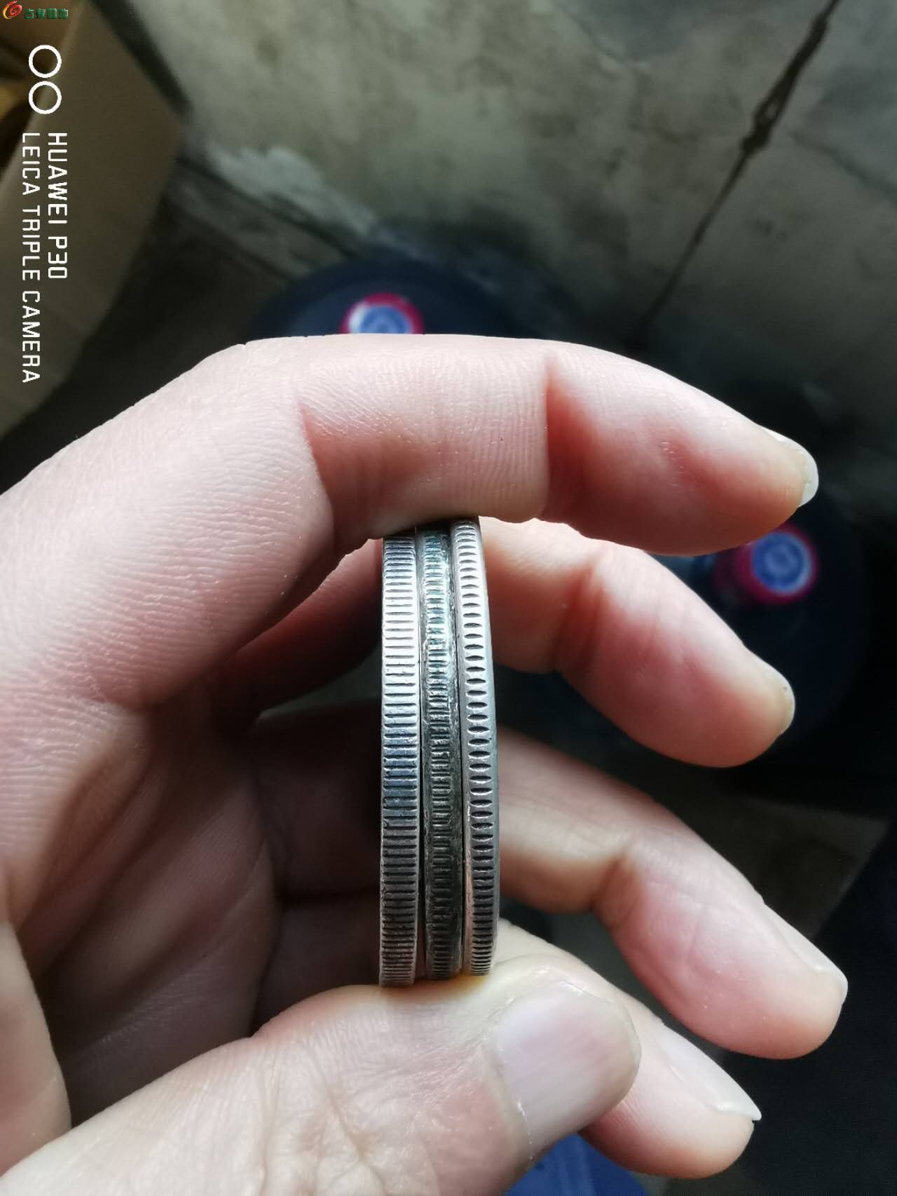 16735.jpg