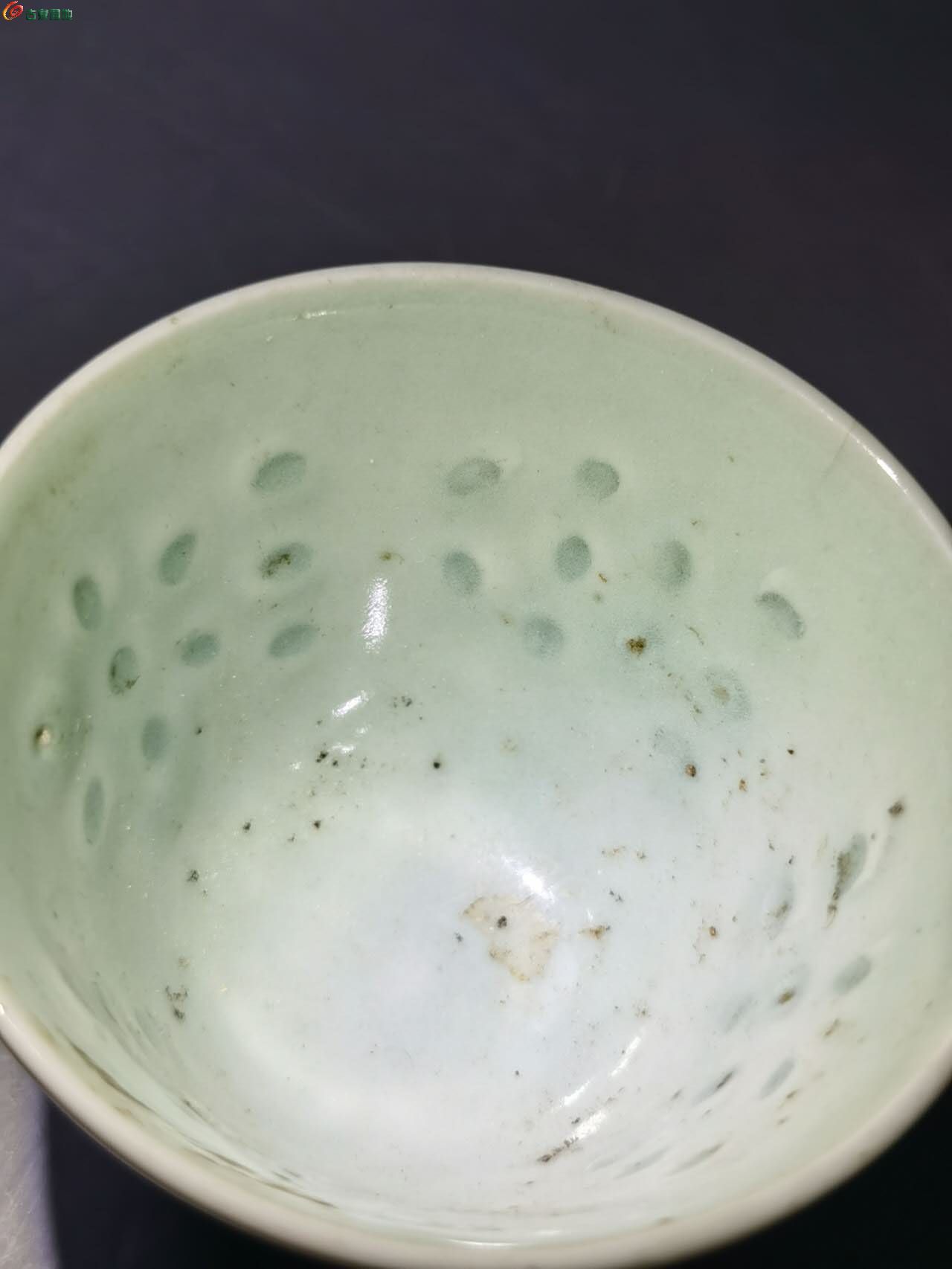 23470.jpg