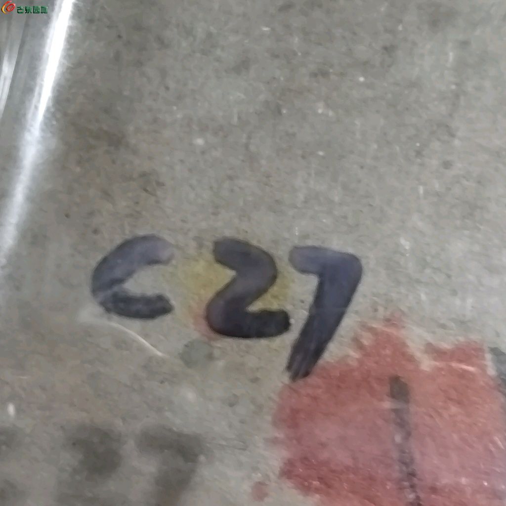 1768561492198.xfile.jpg