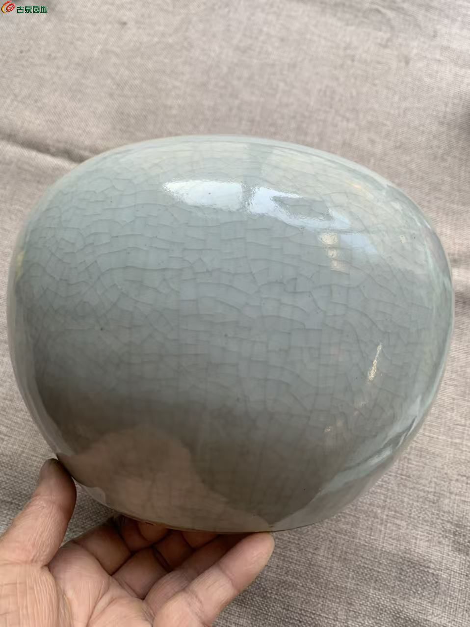 微信图片_20260121103822_99_40.jpg