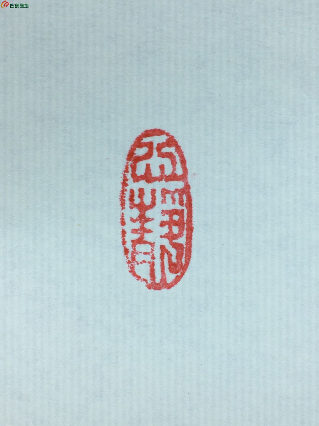 1769261750277.jpg