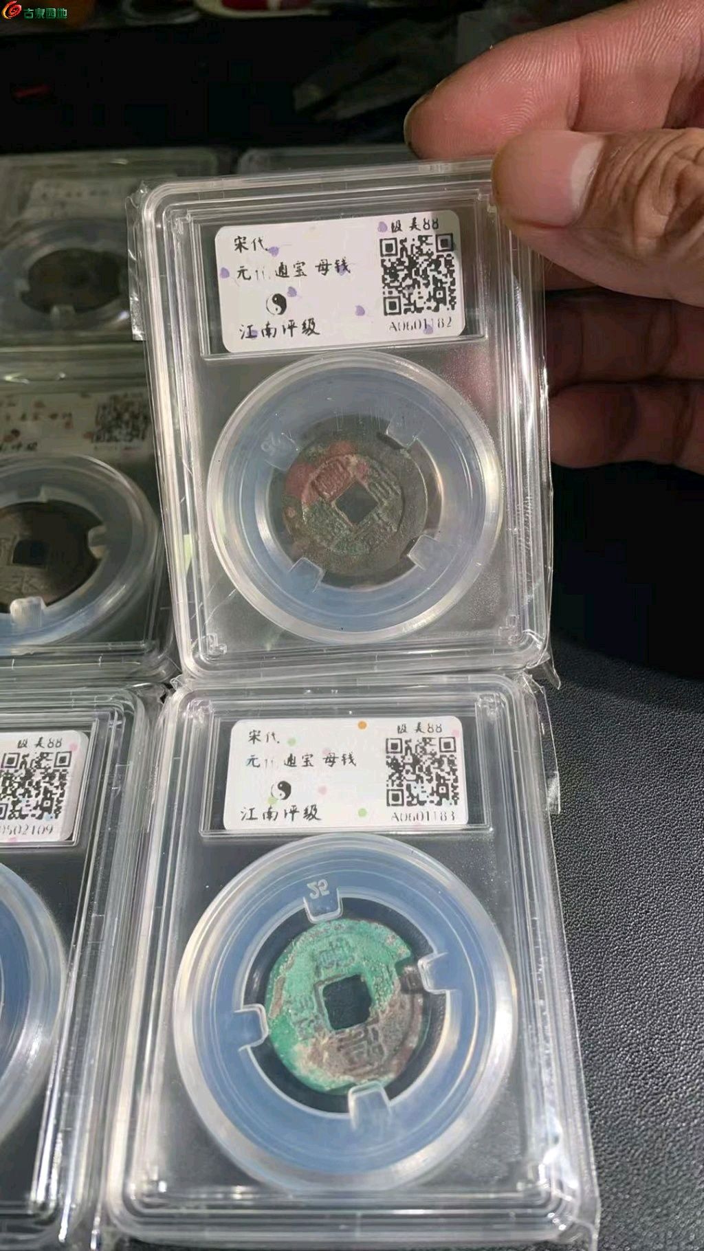 1769398681854.xfile.jpg