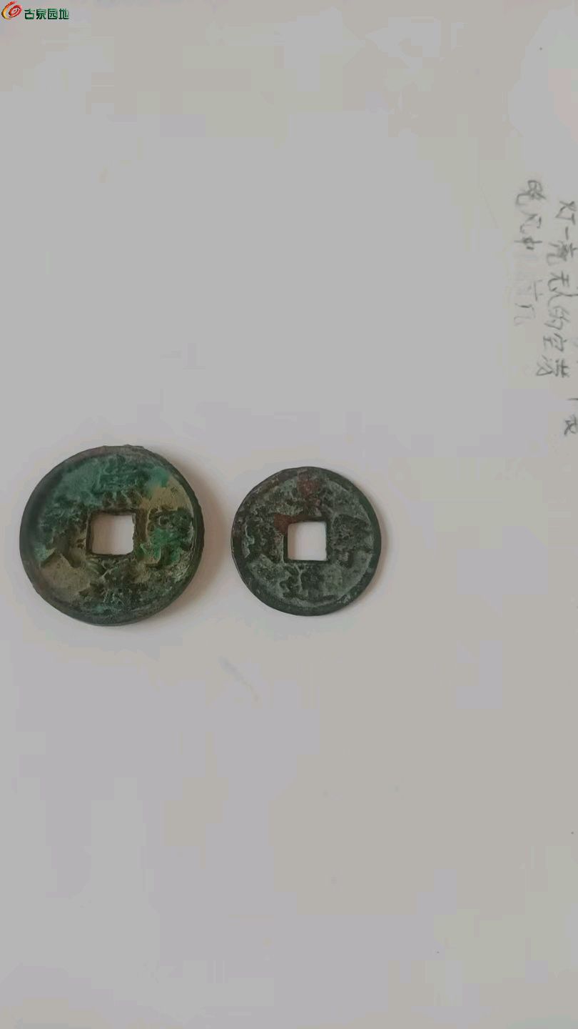 1769416785388.xfile.jpg