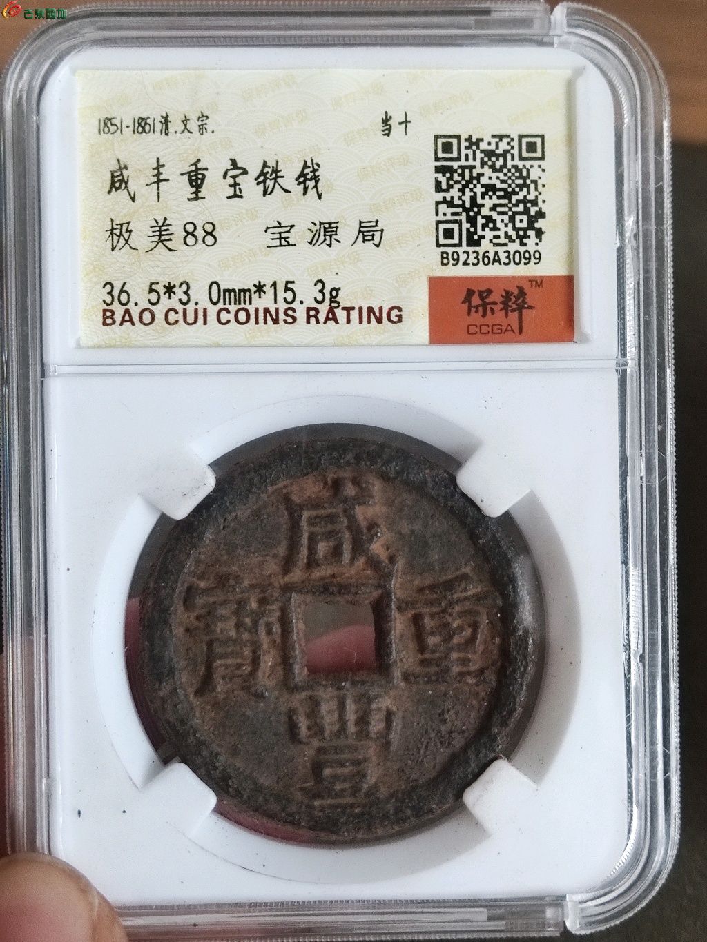 1769673432940.xfile.jpg