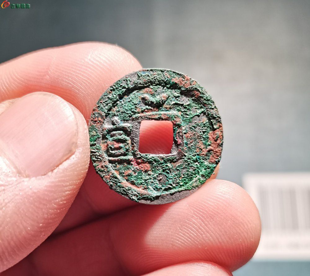 IMG_20260121_143404_edit_100118718532639