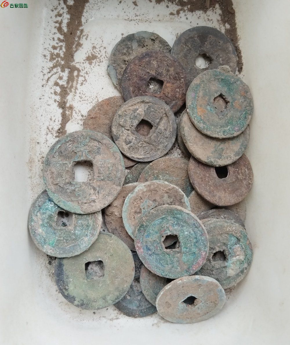 IMG_20260202_122653_edit_122012293897829