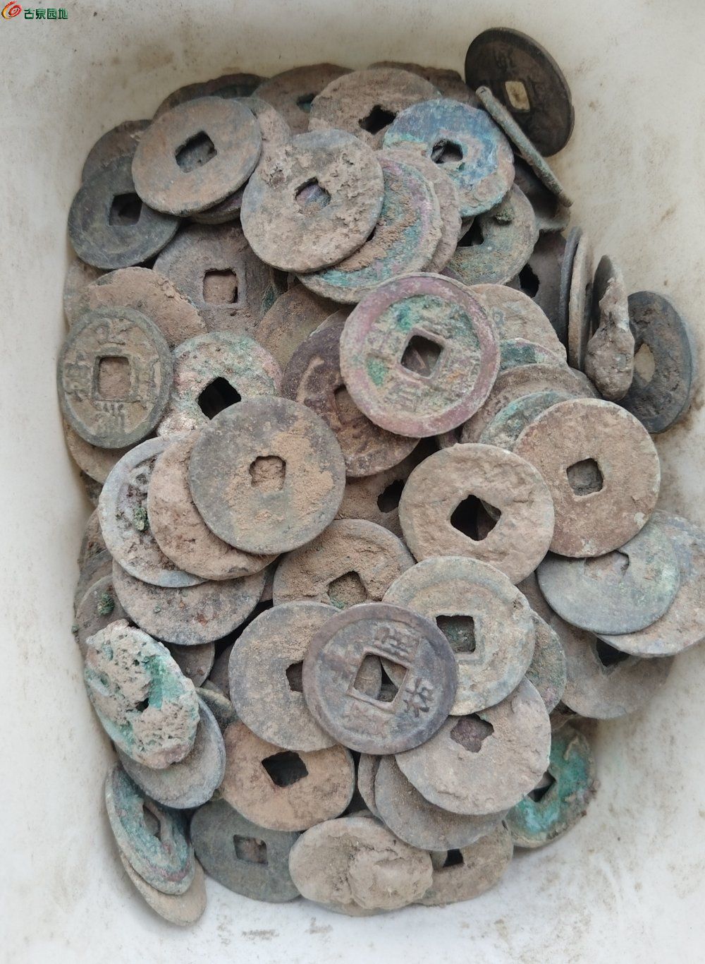 IMG_20260202_122658_edit_122019255860535