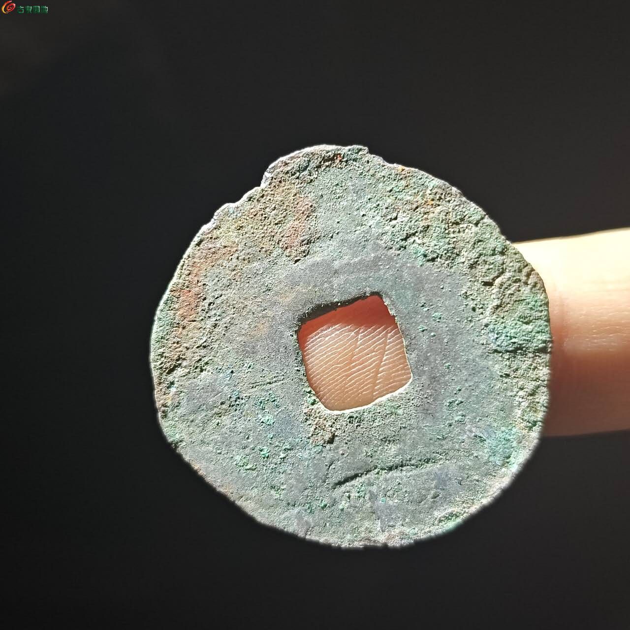 41931.jpg
