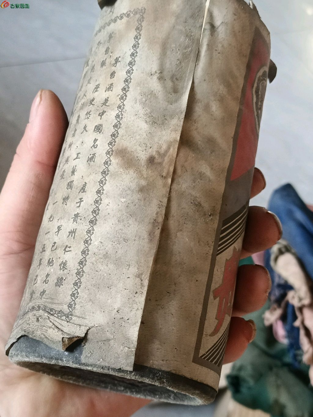 1770191276115.xfile.jpg