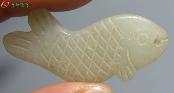鱼鱼7.jpg