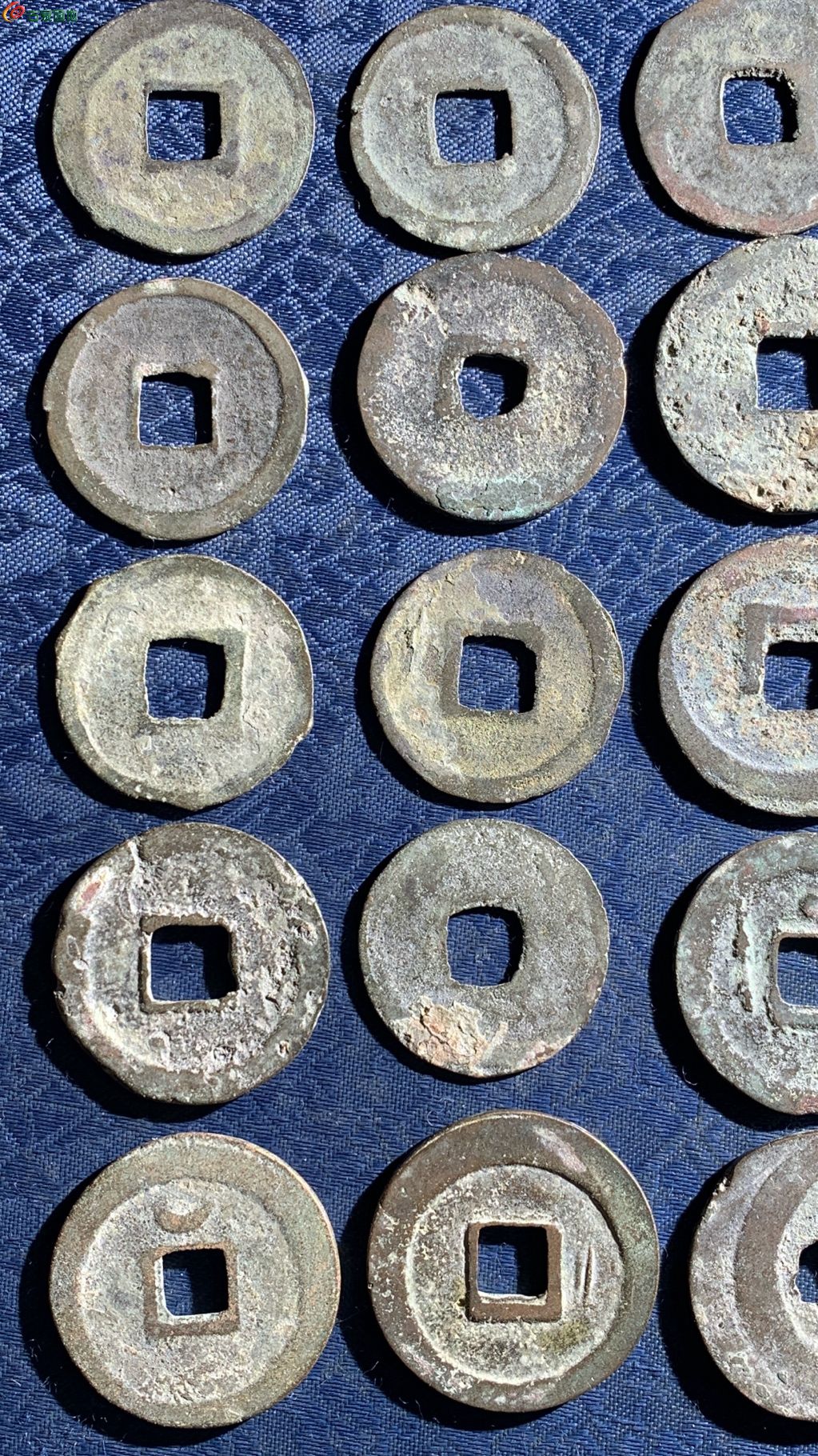 1770279499251.xfile.jpg