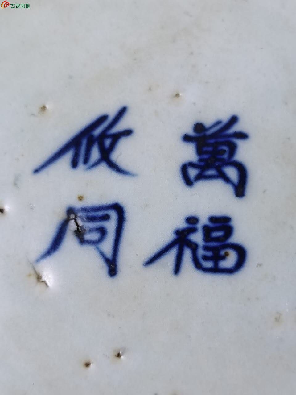 44794.jpg