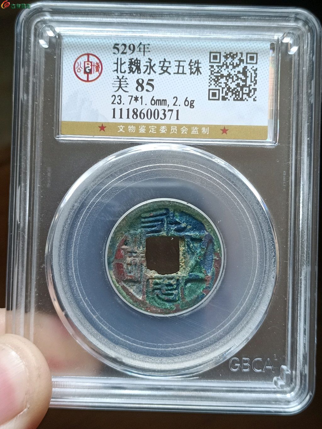 1770351139849.xfile.jpg