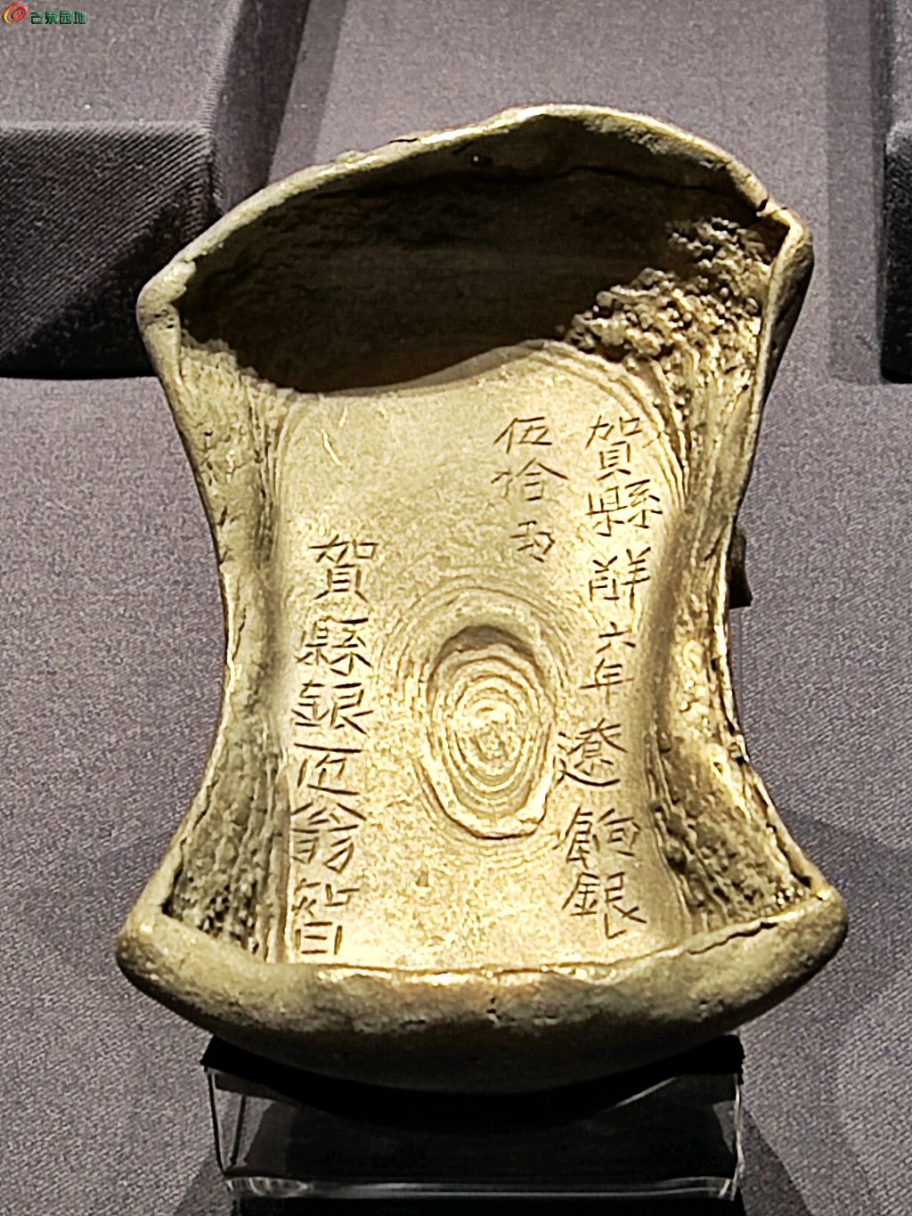 1770471475062.xfile.jpg
