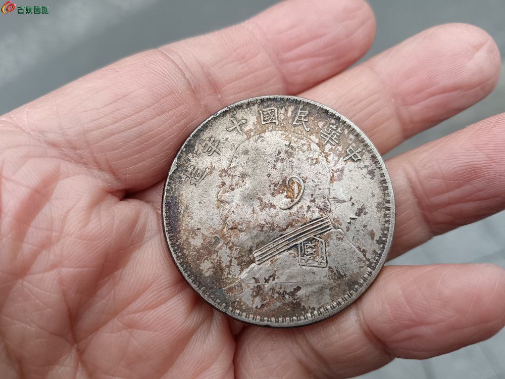 IMG_20260210_154729_edit_20467929389911.