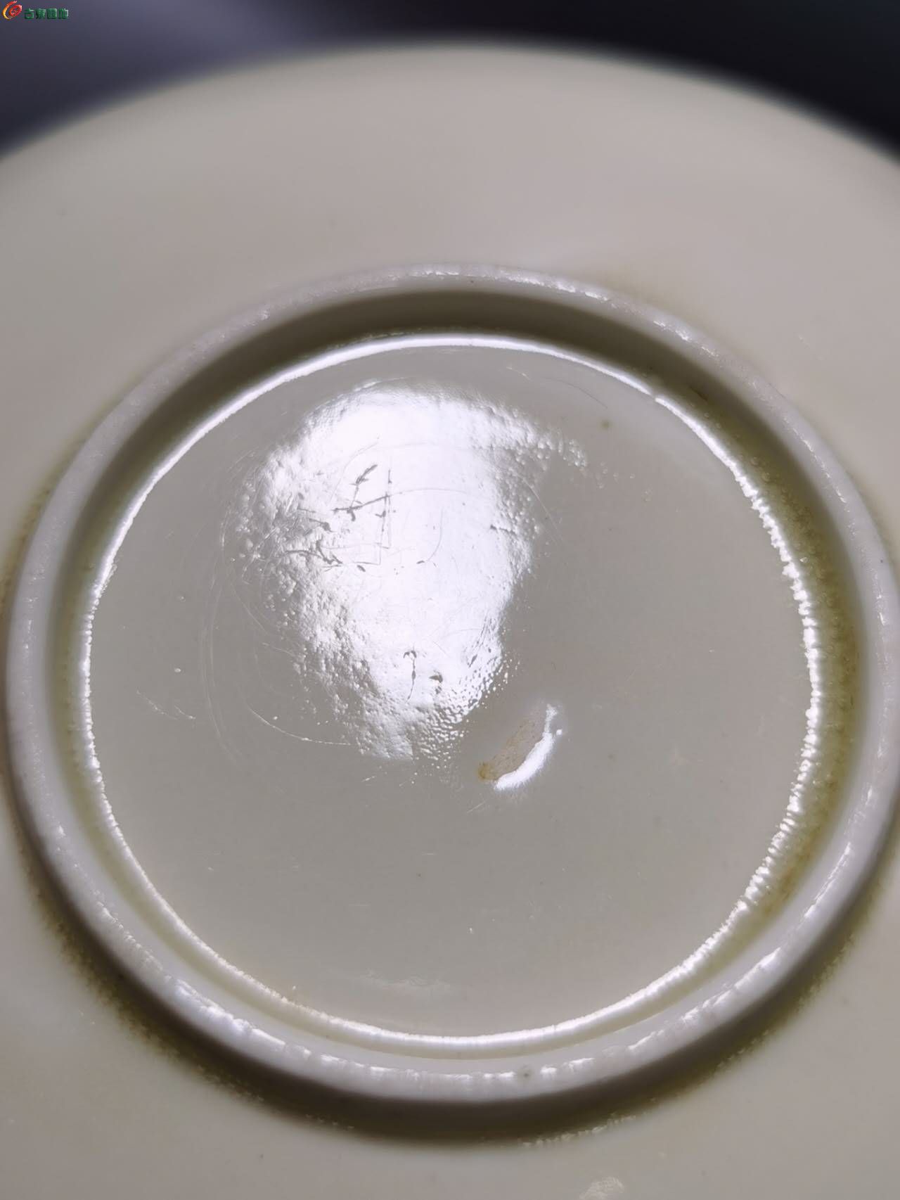 77084.jpg