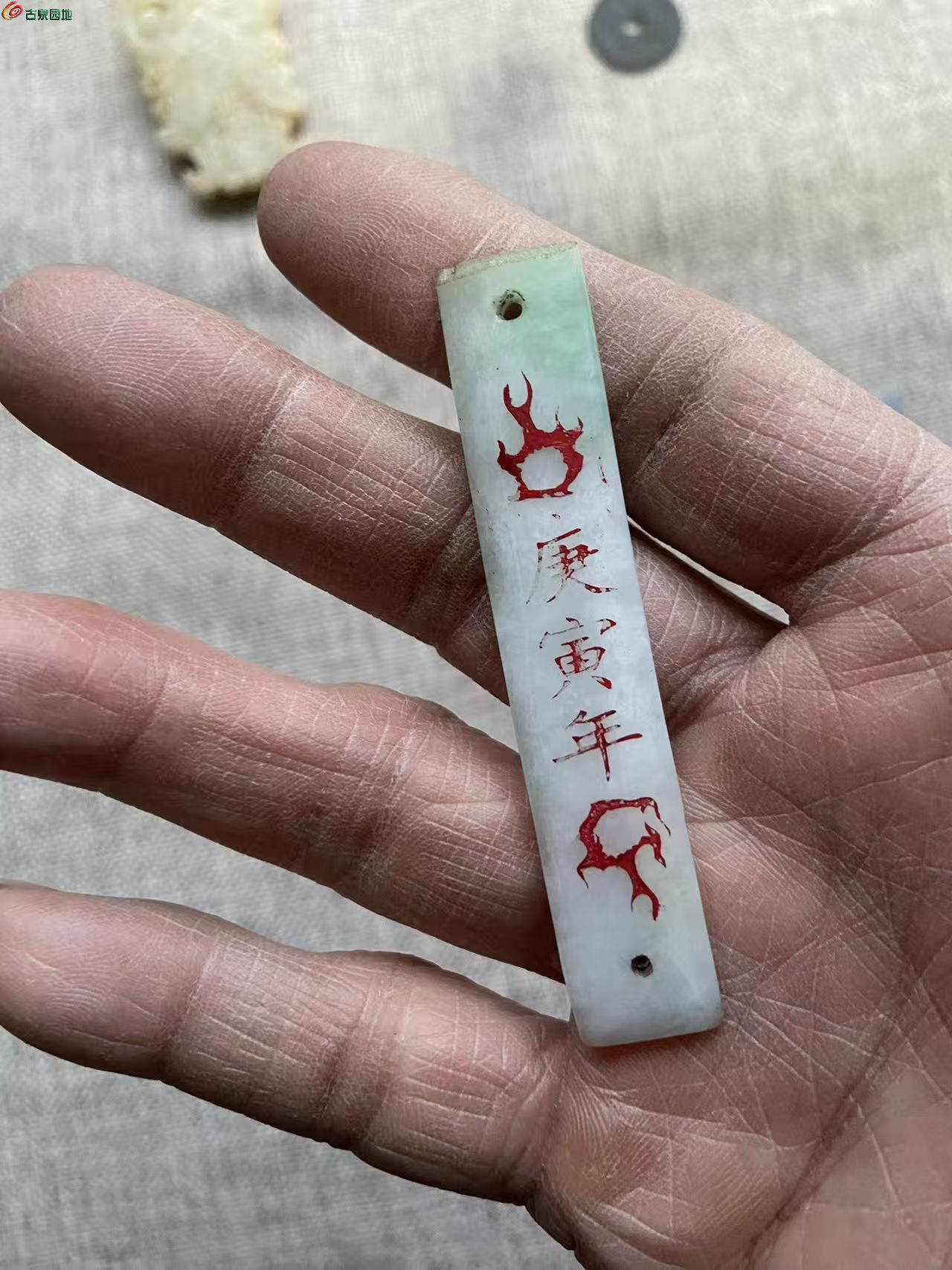 微信图片_20260211072638_199_3.jpg