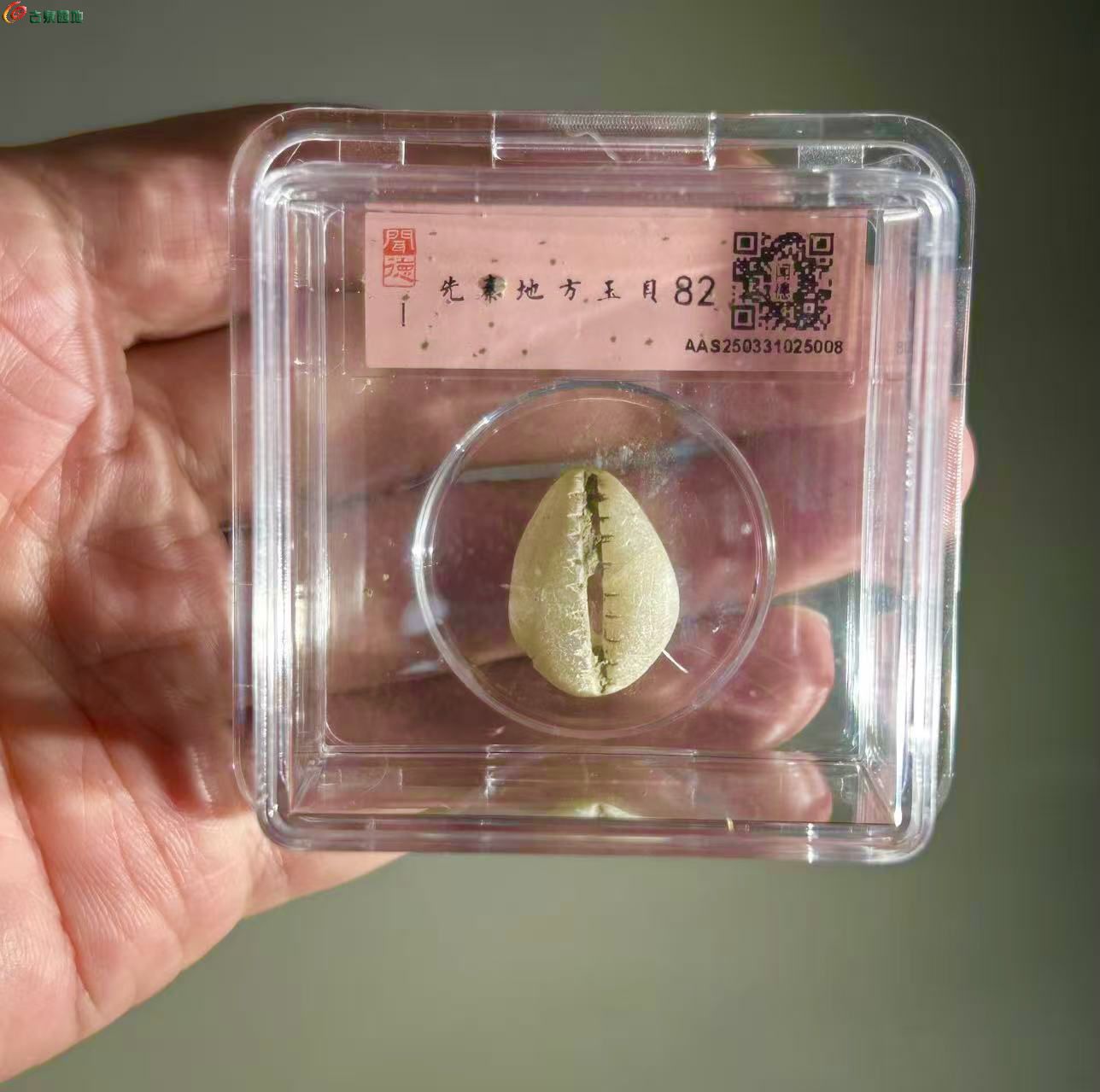 9E2B016D-6AF7-453C-9234-411330B9EAFA.jpe