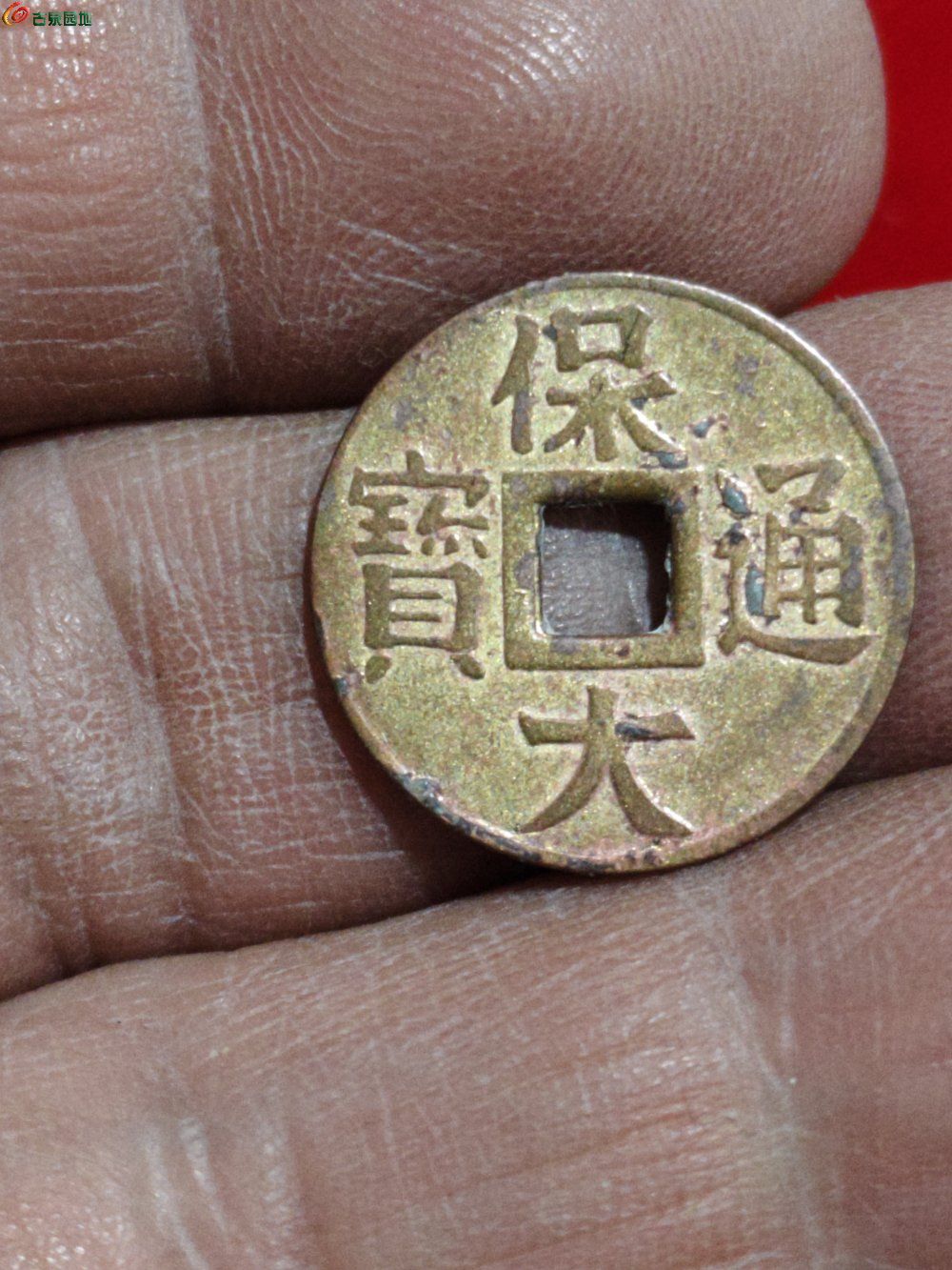 1770871710422.jpg