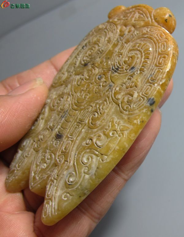 蝉5.jpg