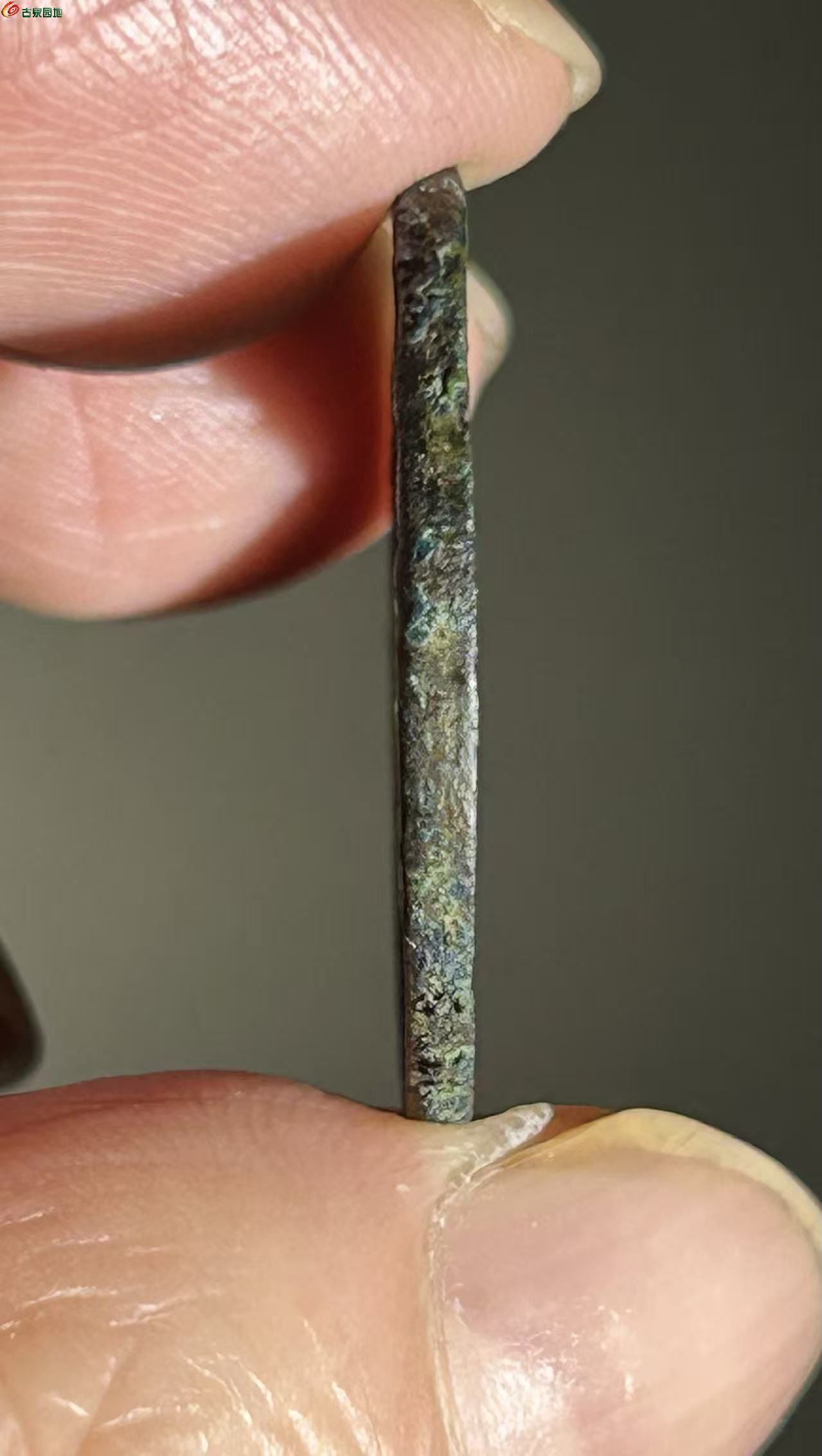 17E893D5-9F2C-4B11-90CA-508300637936.jpe