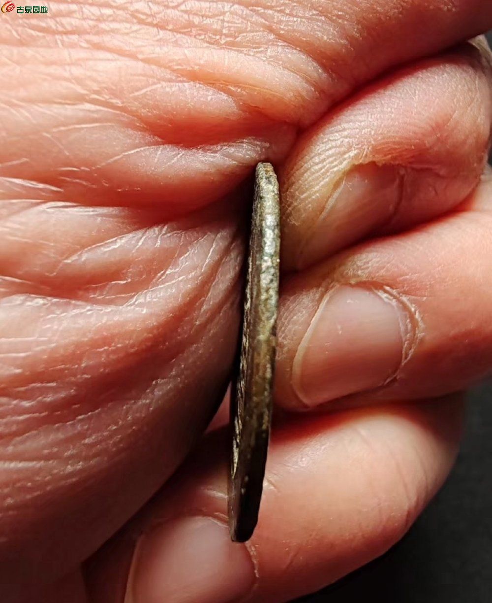 Screenshot_2026-02-24-16-16-06-29_0dff84