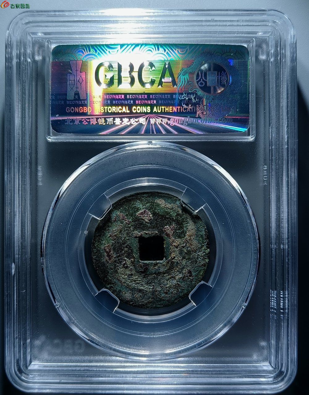 IMG_20260211_133755_edit_349641295498607