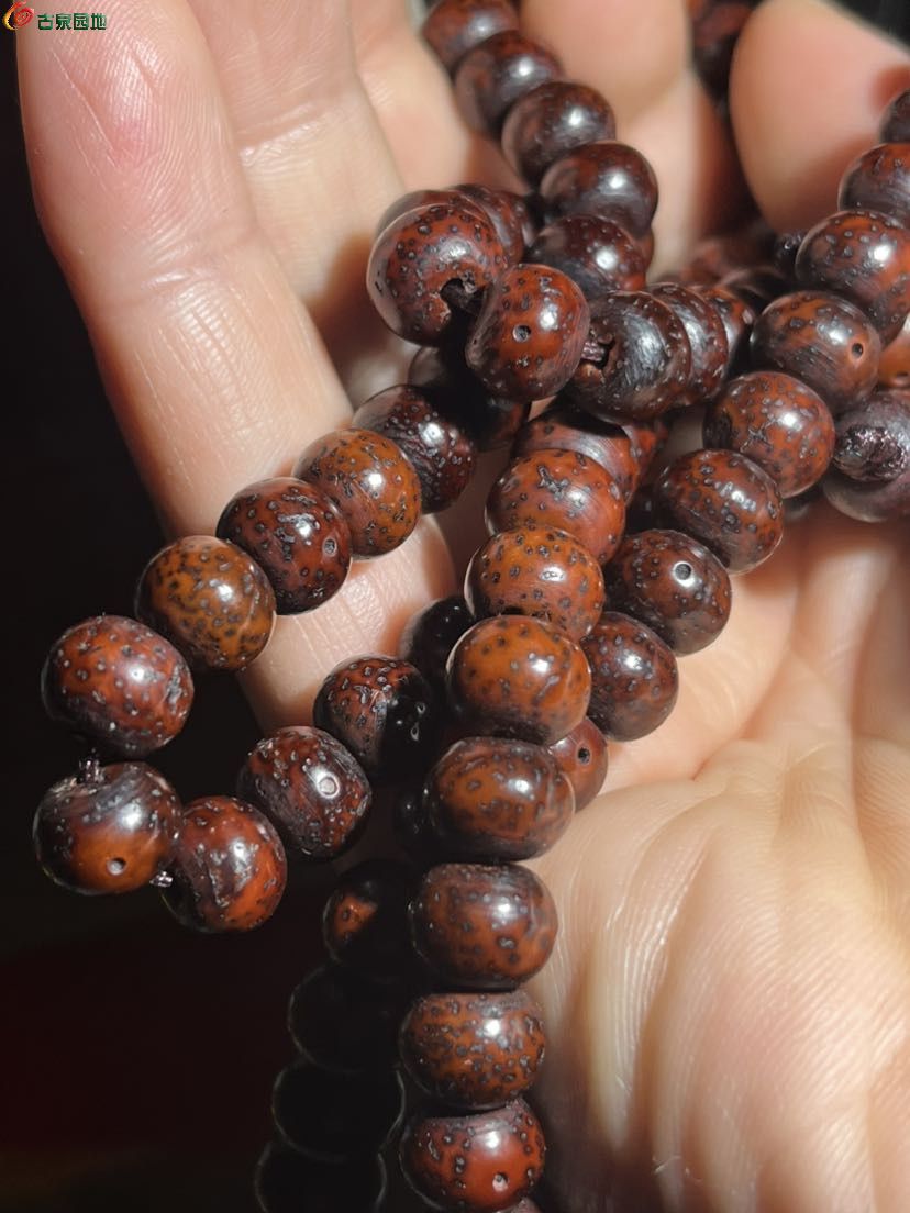老星月菩提子5.jpg