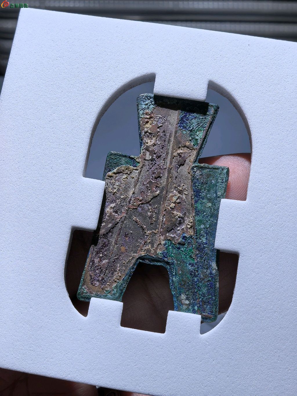 1773126050348.xfile.jpg
