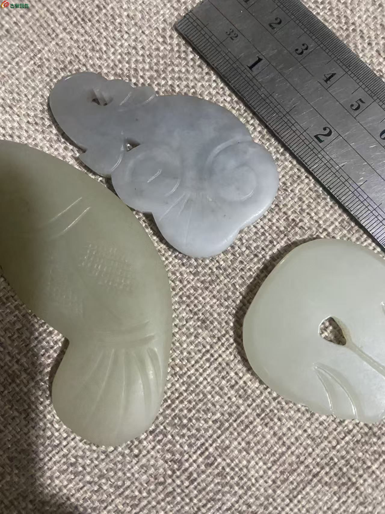 微信图片_20260311234844_2298_3.jpg
