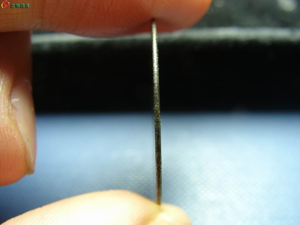 调整大小 DSC05130.JPG