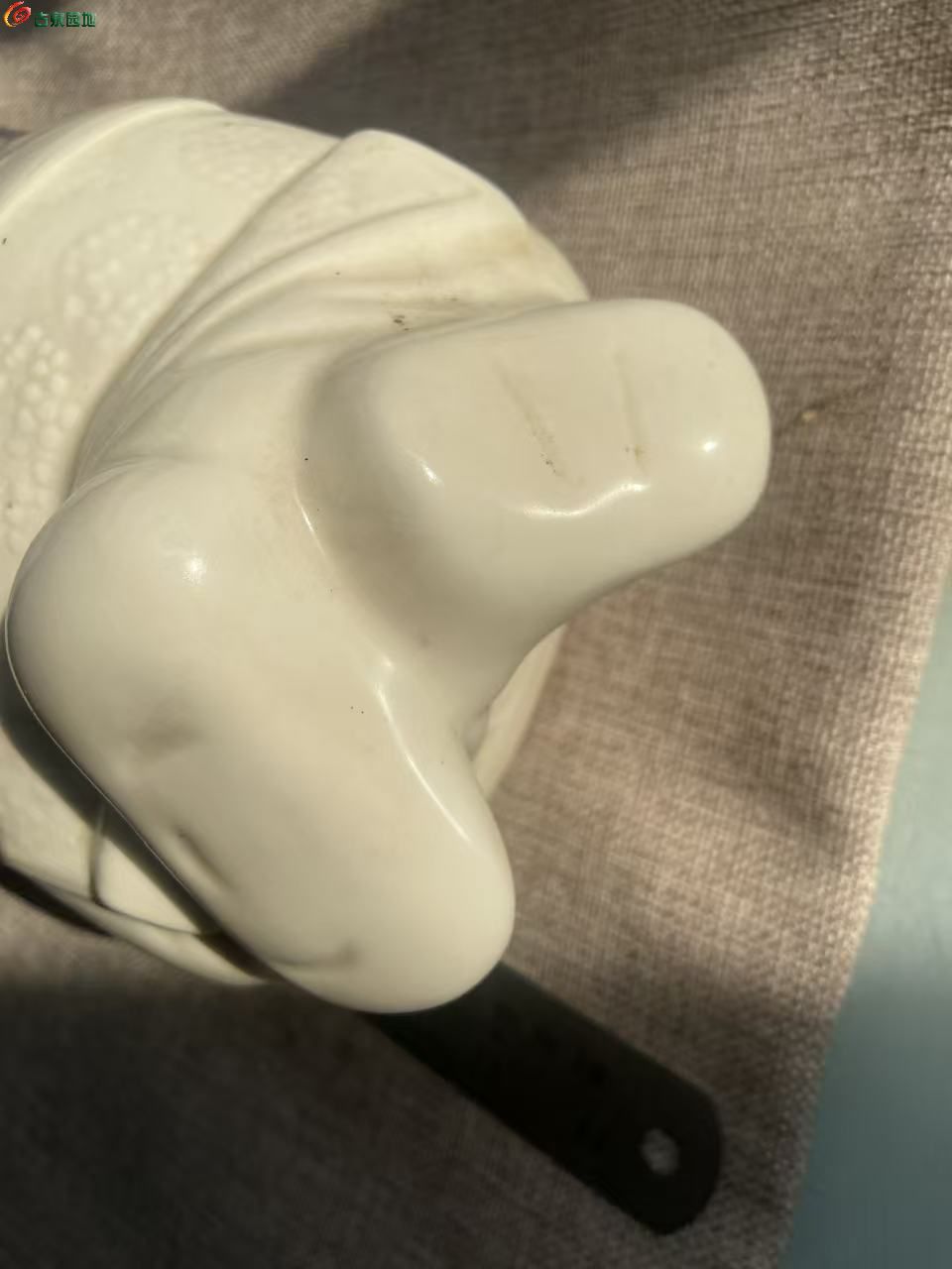 微信图片_20260312155254_2386_3.jpg