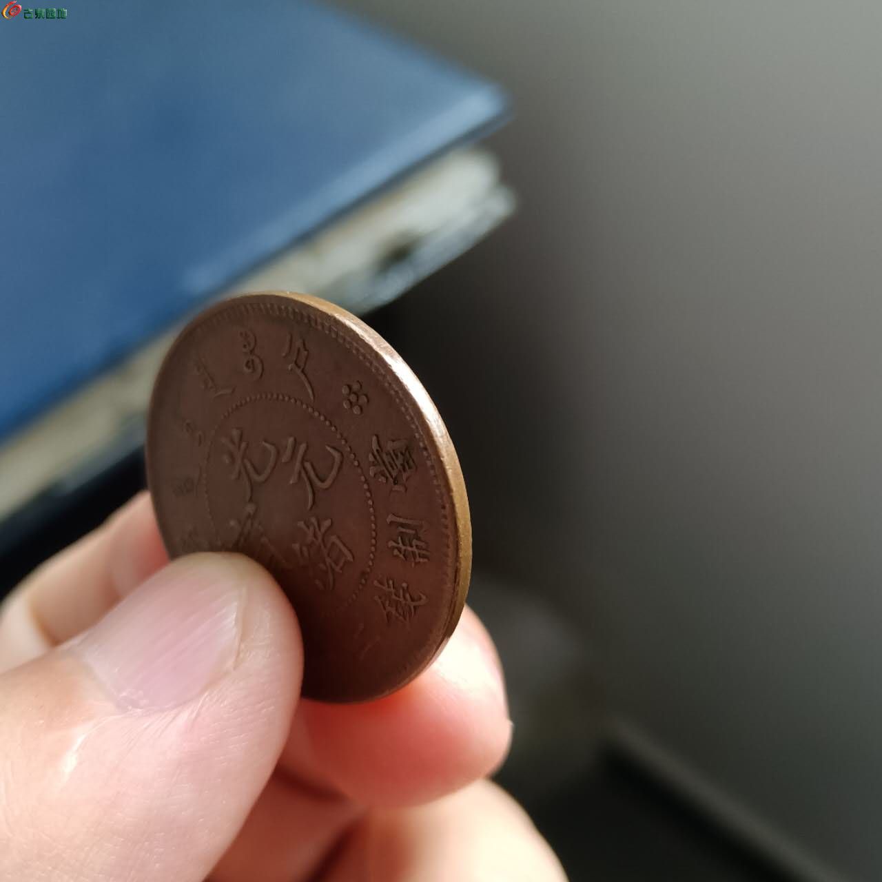66561.jpg