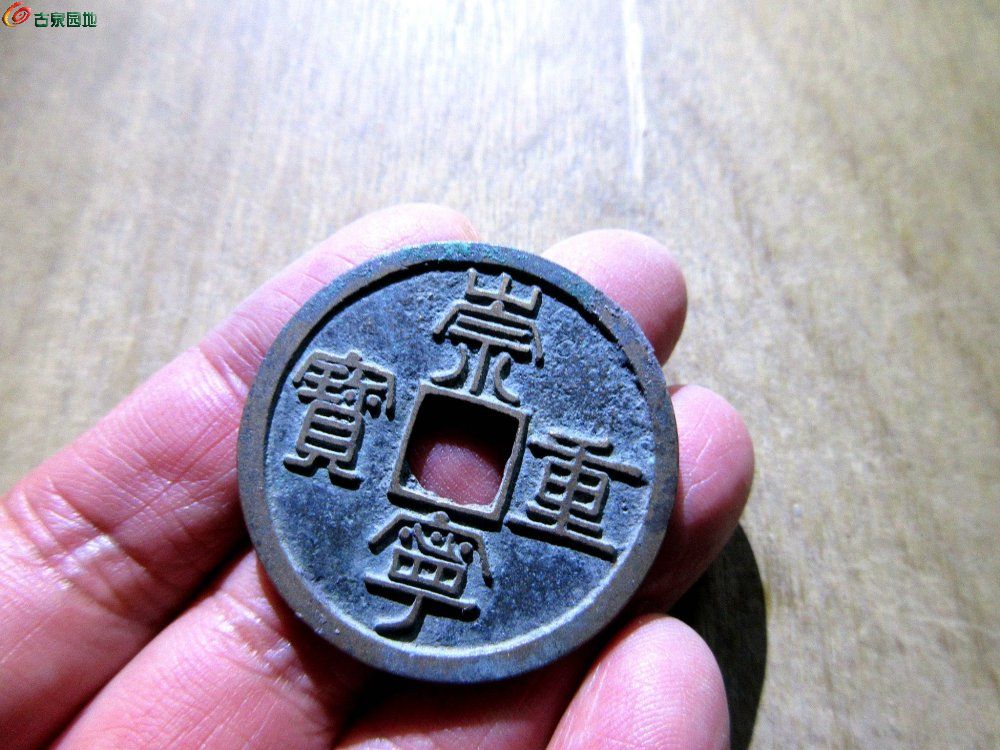 崇纤下张贝1.jpg