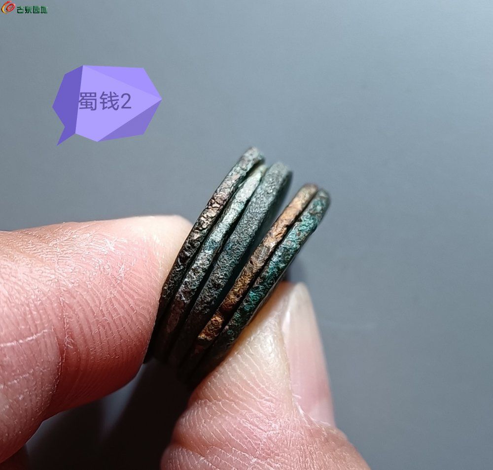 IMG_20260211_121904_edit_348775570589248